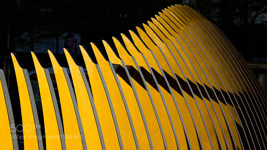 Photograph Yellow Skeleton by Evgeny Tchebotarev on 500px