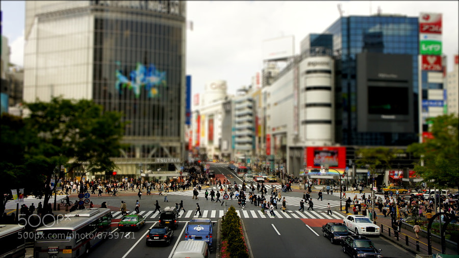 Photograph Shibuya Crossing by Clem Levin on 500px