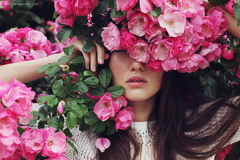 Photograph la vie en rose by Sonya Khegay on 500px
