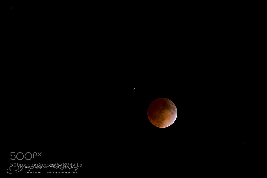 Trying to shoot the Lunar Eclipse (aka Blood Moon) for the first time, it was a cold, windy night in Colorado. Although my fingers froze (I have a problem with that), I did manage to get a few shots in acceptable focus anyway. Wouldn't have traded a thing, a really amazing sight that used to awe our ancestors. The bottom right is the bright double star Spica.