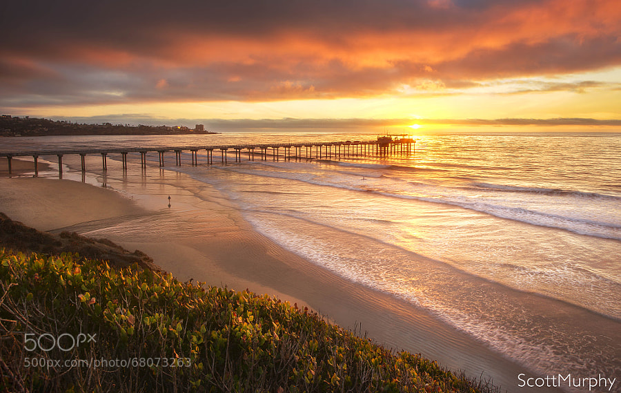 Photograph La Jolla Shores Beach by Scott Murphy on 500px