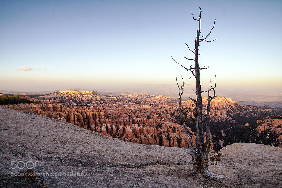 Photograph Last Sun | Bryce Canyon NP, Utah, USA by Matthias Huber on 500px