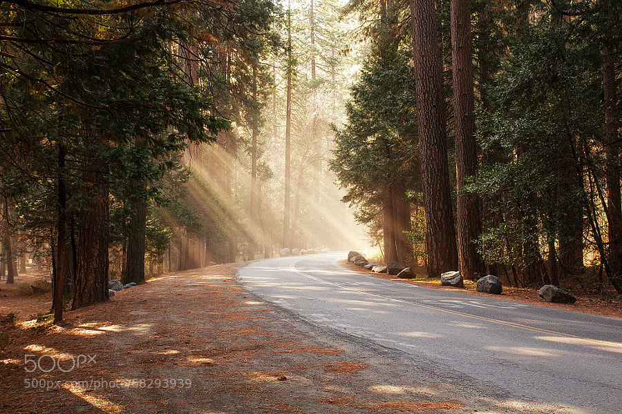 Photograph Blessed Street | Yosemite NP, California, USA by Matthias Huber on 500px