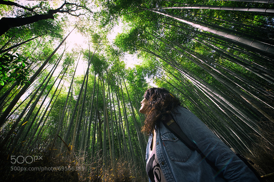 Photograph Bamboo grove by Rui Caria on 500px