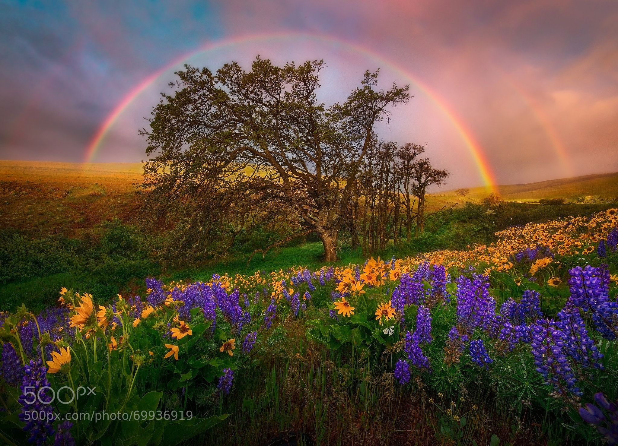rainbow landscape photography