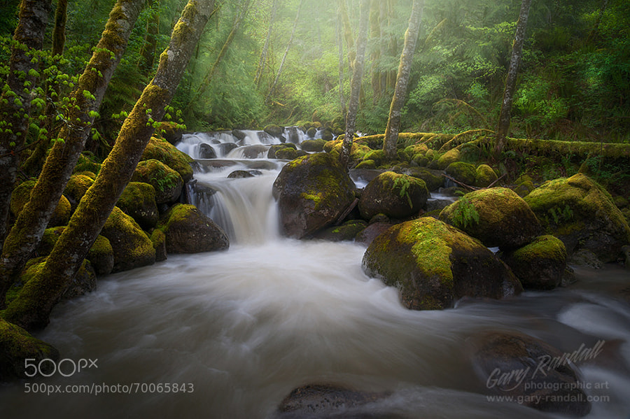 Photograph Boulder Creek by Gary Randall on 500px