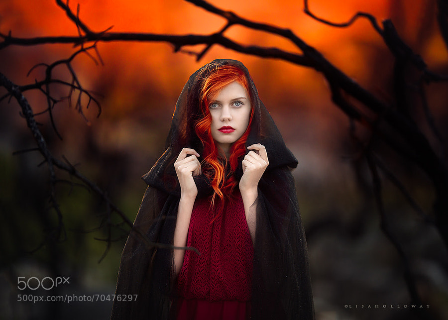 Photograph Fiery by Lisa Holloway on 500px