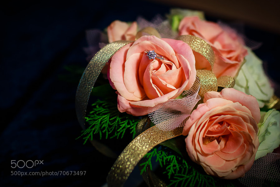 Photograph Diamond ring by sealswat on 500px