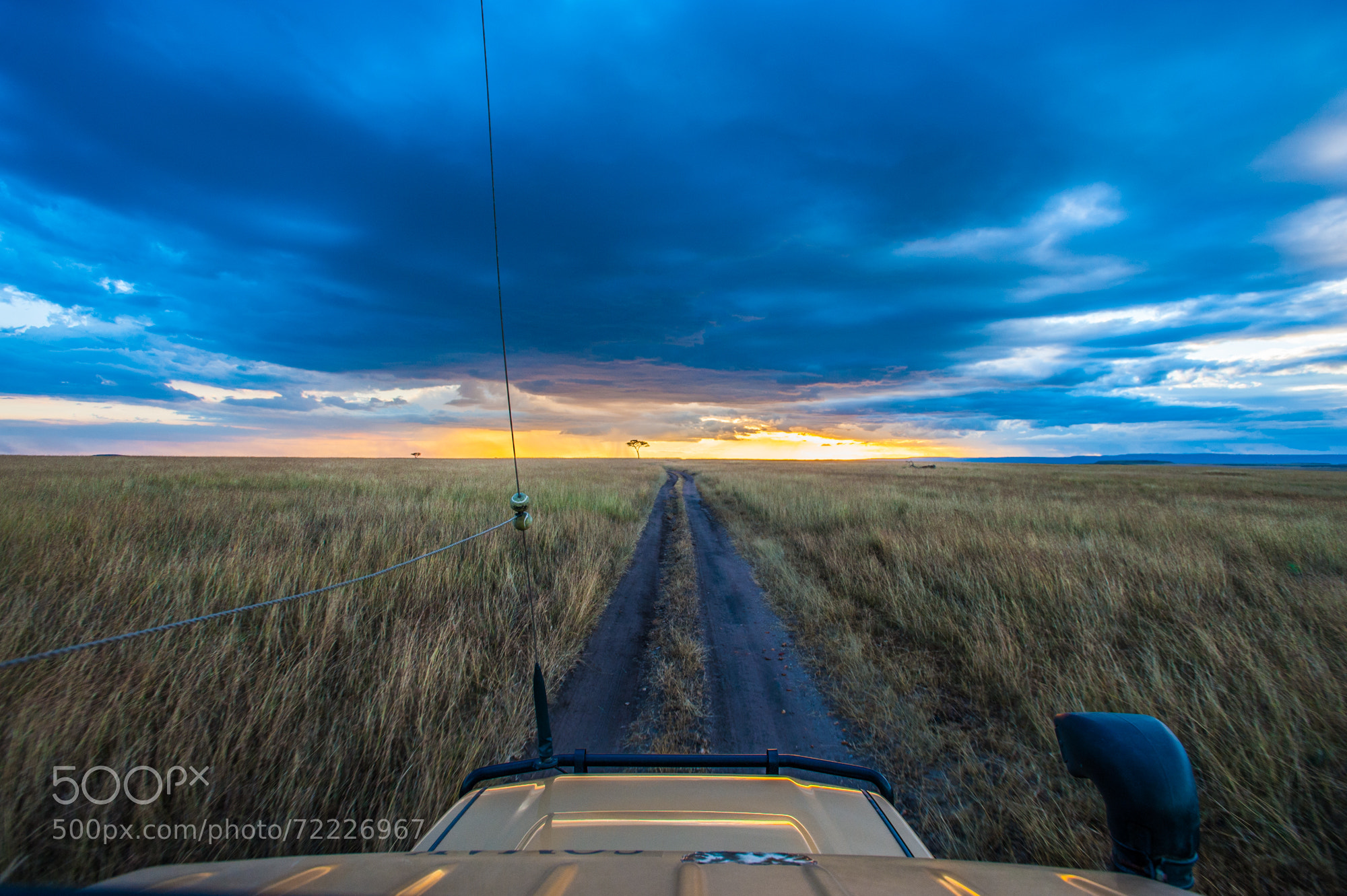 Photograph Mara Safari by majed ali on 500px