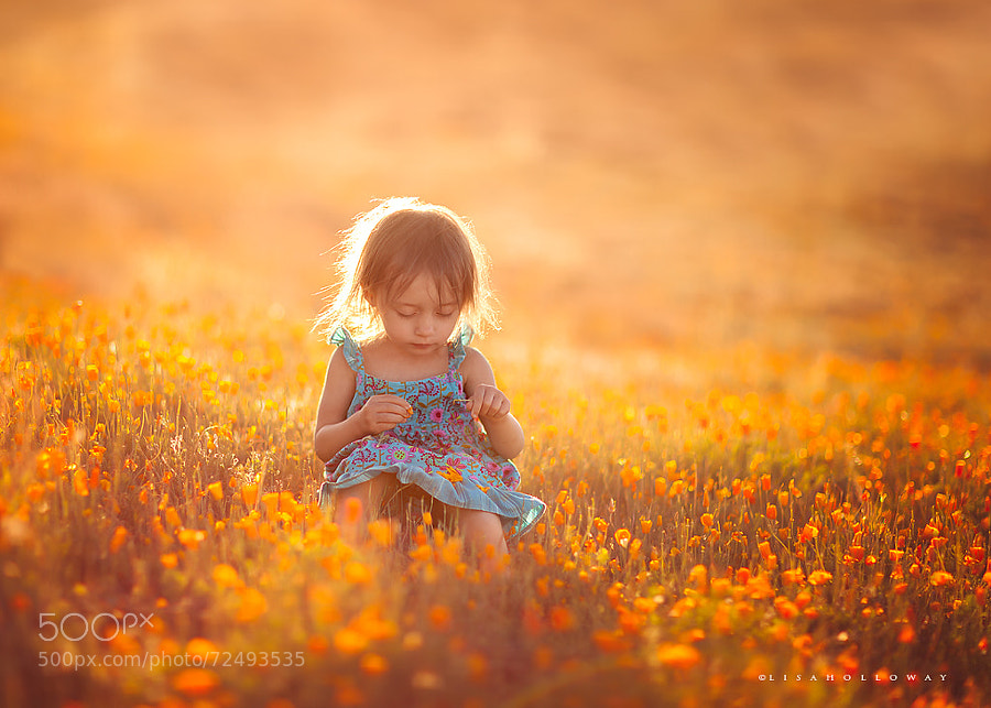 Photograph Collecting Sunshine by Lisa Holloway on 500px
