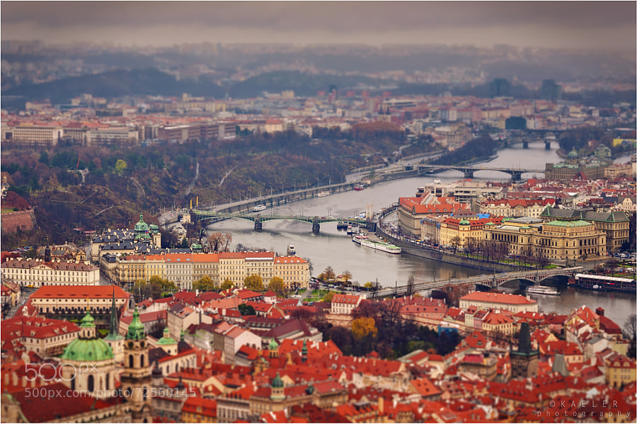 Photograph tiltshifted Prague by Kate Eleanor Rassia on 500px