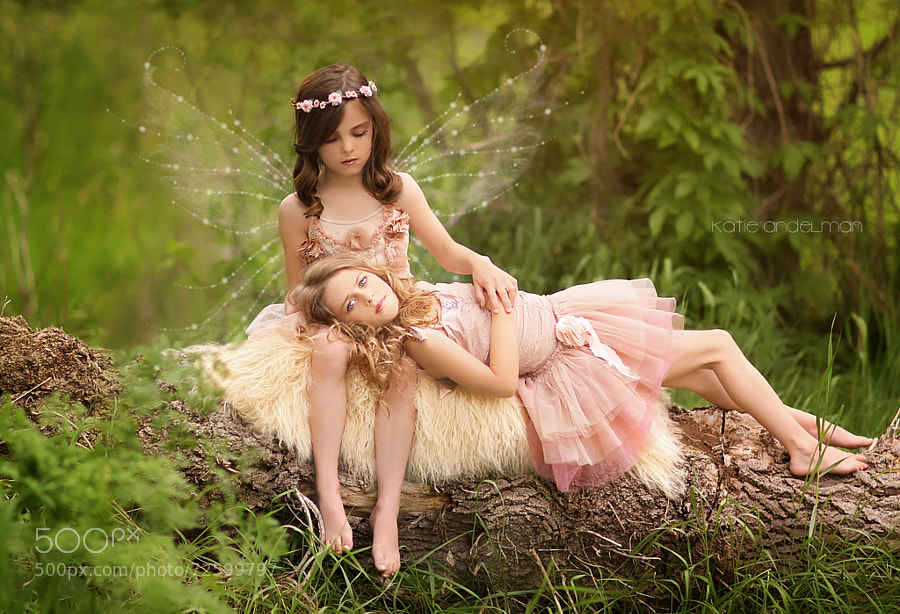 Photograph forest fairies by Katie Andelman Garner on 500px