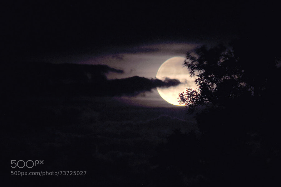 Photograph Storm Moon (Saturday 14, June, 2014) by Jeff Carter on 500px