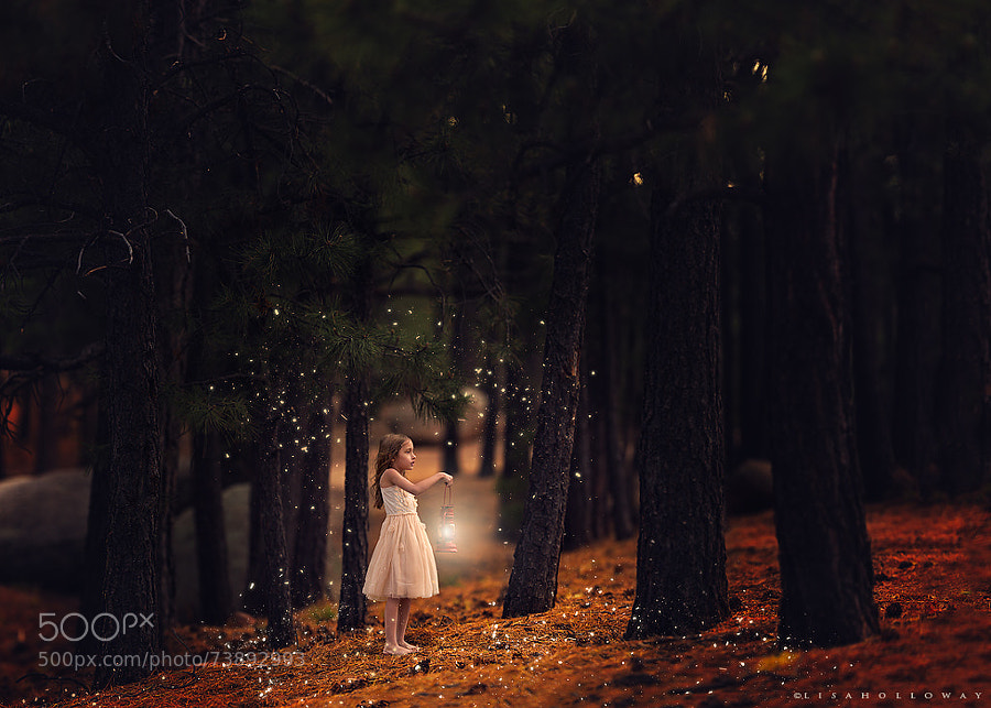Photograph Forest of Mysteries by Lisa Holloway on 500px