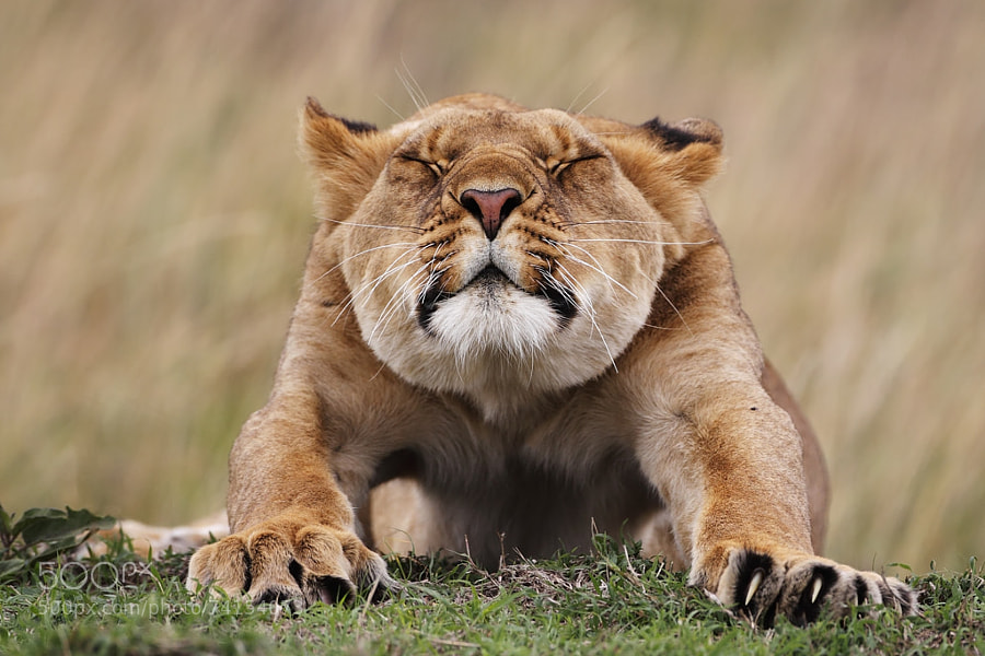 Photograph Stretching by Stephan Tuengler on 500px