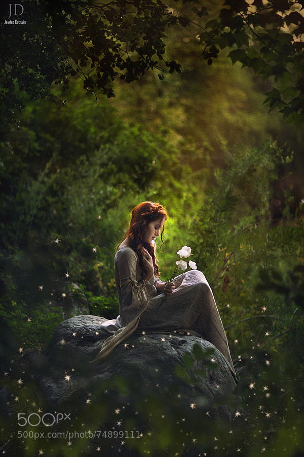 Photograph Enchanted Woods by Jessica Drossin on 500px