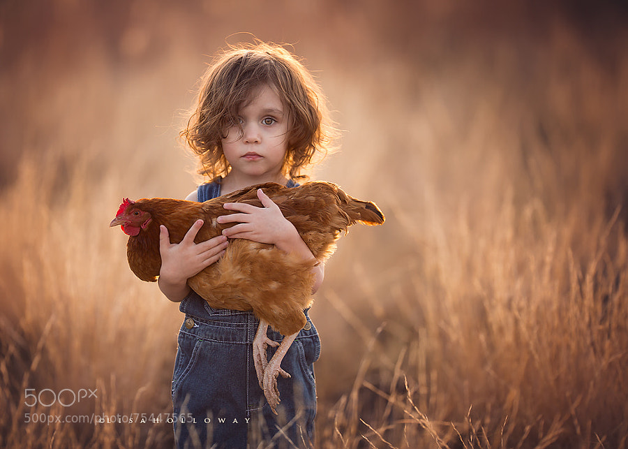 Natural light Photography - Photograph Elliott & His Hen by Lisa Holloway on 500px