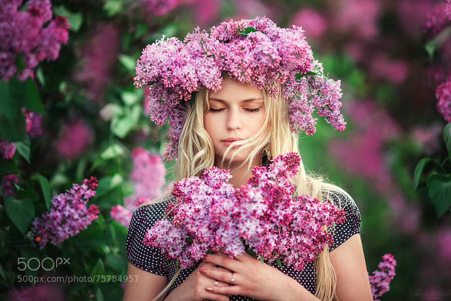 Photograph Lilac dreams by Sergey Shatskov on 500px