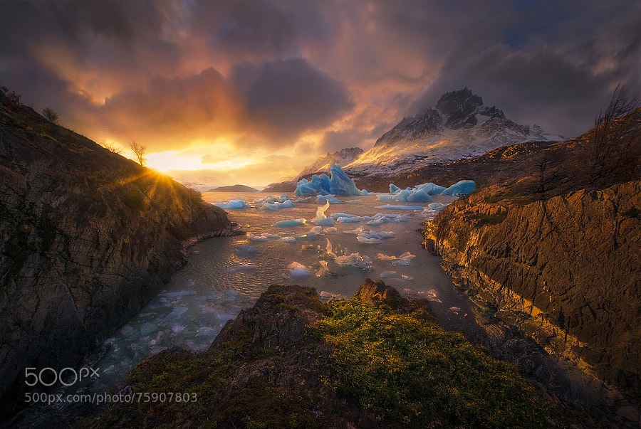 Photograph Above the Cold by Marc  Adamus on 500px