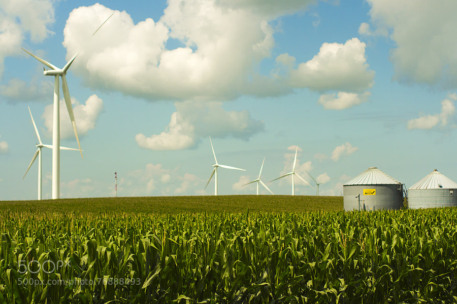 Photograph Central Iowa Wind Farms by Jeff Carter on 500px