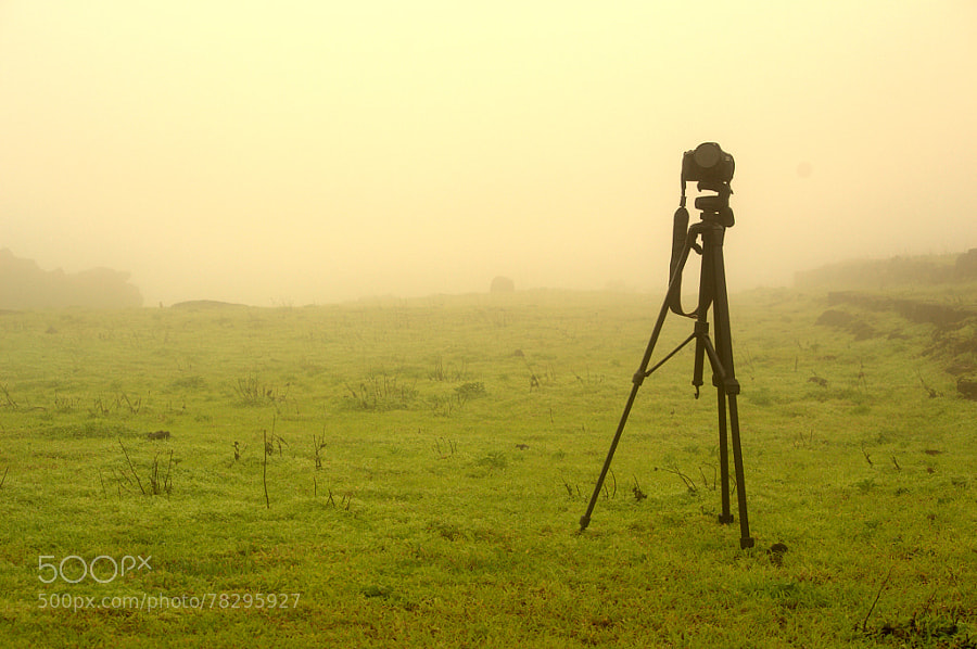 Photograph the vision by smit badiani on 500px
