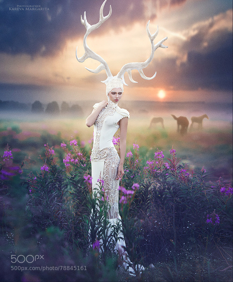 Photograph White deer by Margarita Kareva on 500px