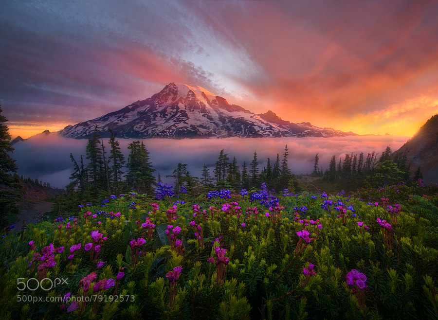 Photograph Tahoma the Great by Marc  Adamus on 500px