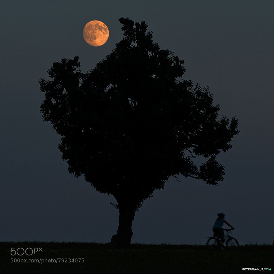 Photograph Moon rider by Peter Majkut on 500px