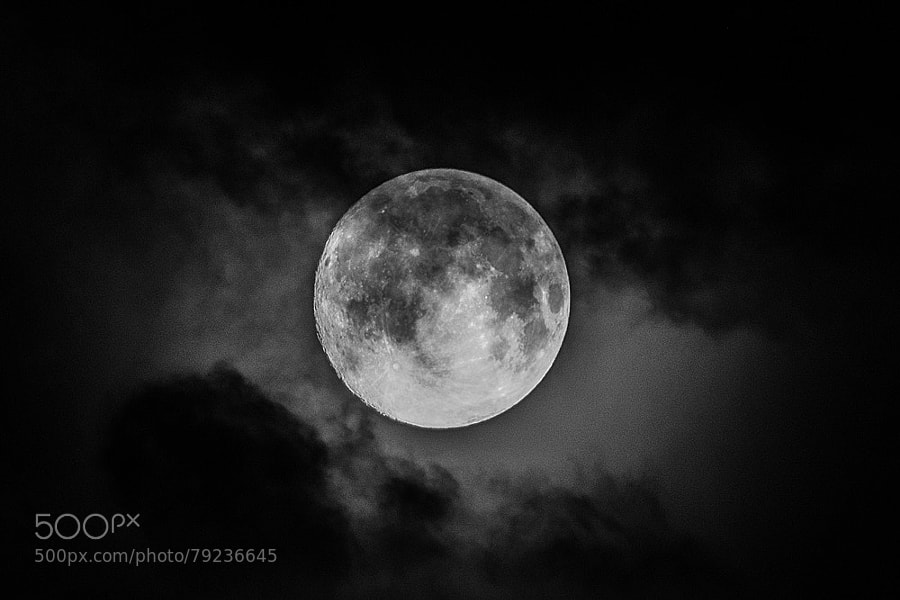 Photograph Vollmond II by Susanne Ludwig on 500px