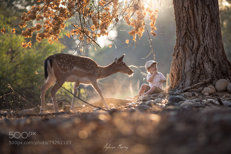 Photograph Eating with the Wild by Adrian Murray on 500px