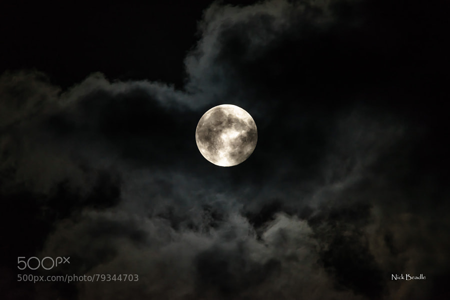 Photograph Full Moon by Nick Beadle on 500px