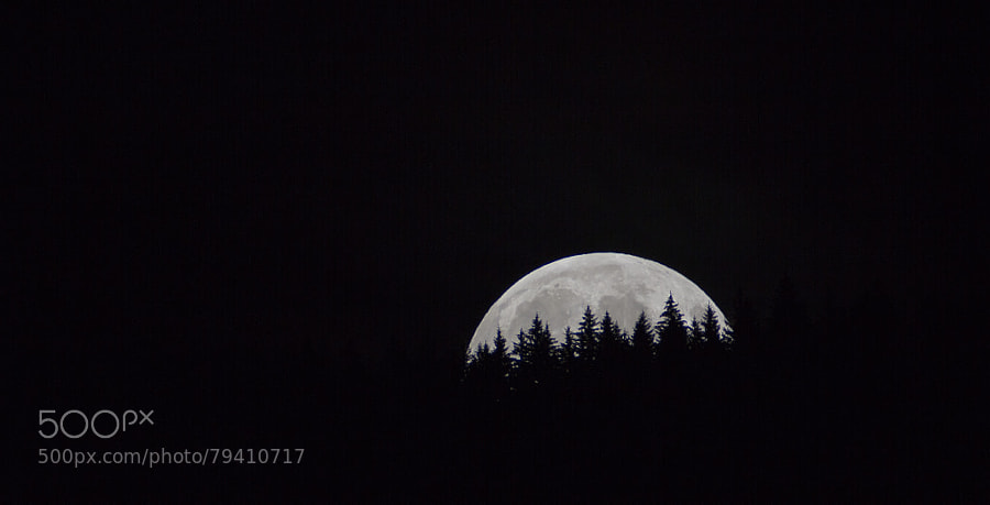 Photograph Moonrise by Torsten Muehlbacher on 500px