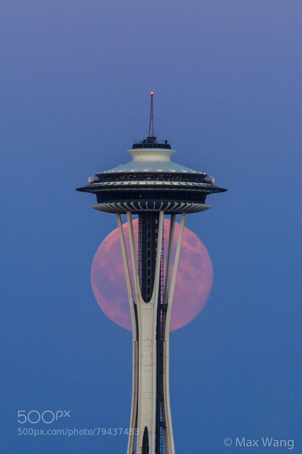 Photograph Seattle supermoon 2014 by Max Wang on 500px