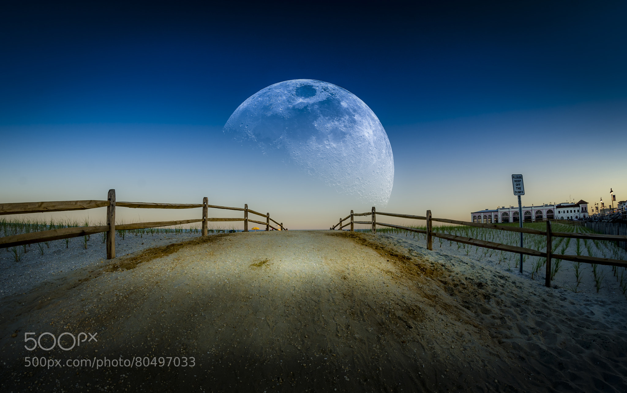 Photo Moonlit Path par Wil Moore on 500px