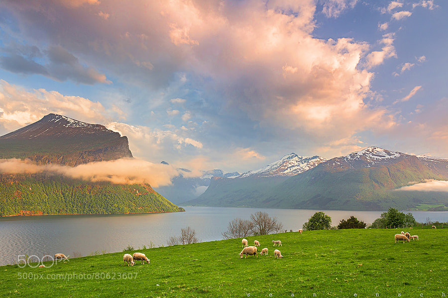 Photograph An evening in Norway by Sean Ensch on 500px