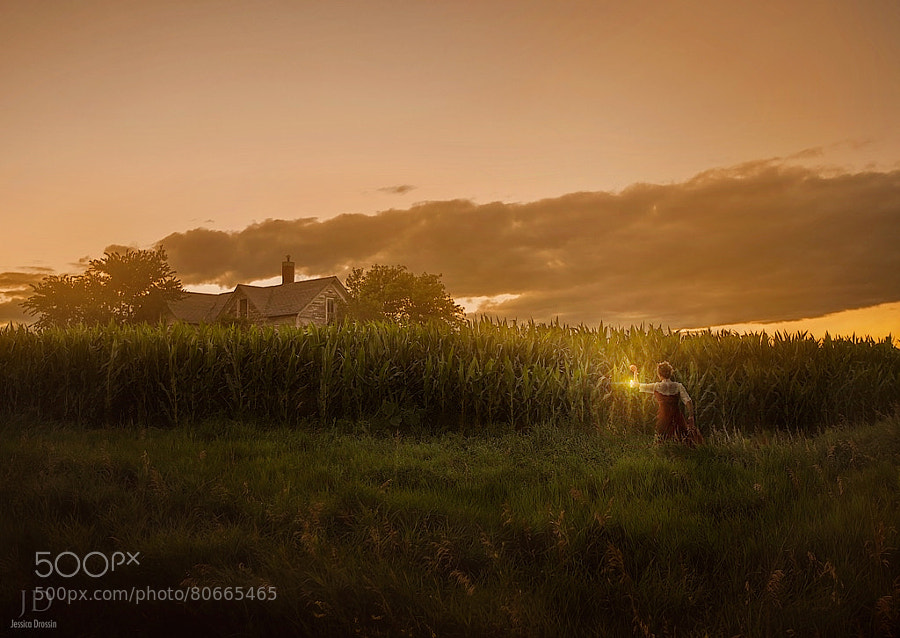 Photograph Searching for Home by Jessica Drossin on 500px