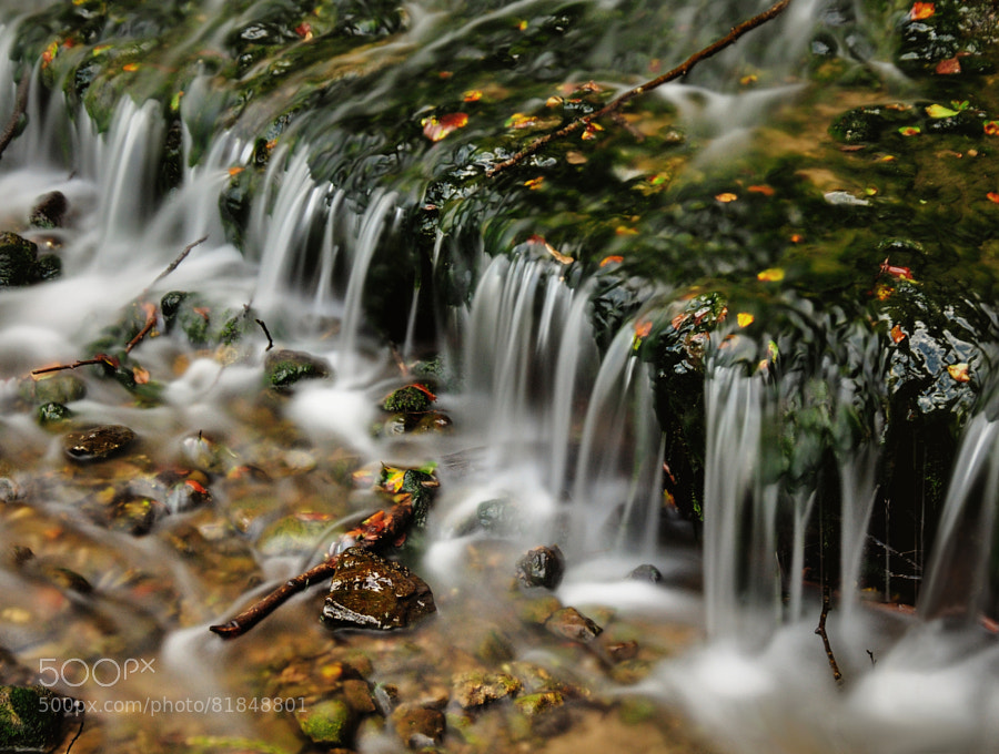 Photograph Autumn cascade by Maggie_Photography on 500px