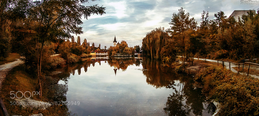Photograph Golden autumn by Slava Samoilenko on 500px