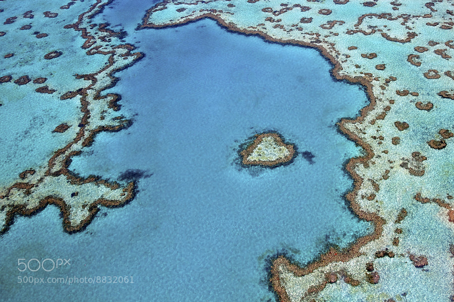 Photograph Heart Reef by Tanya Puntti on 500px
