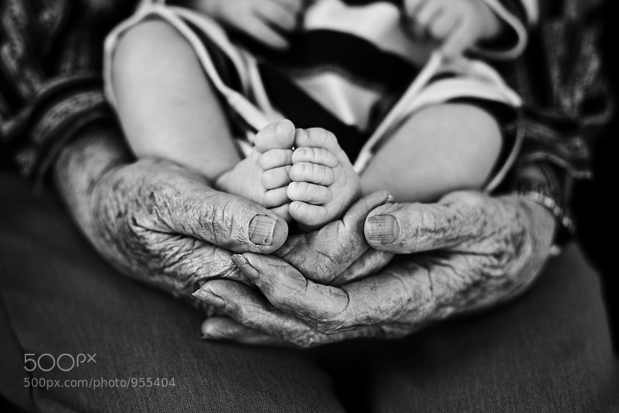 Photograph Great grandma's hands by Stephanie Beaty | Lifeography on 500px