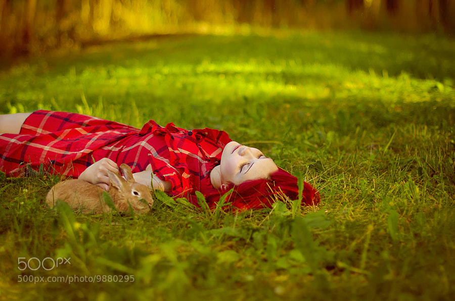 Photograph Girl with Rabbit by Olga Gabsattarova on 500px