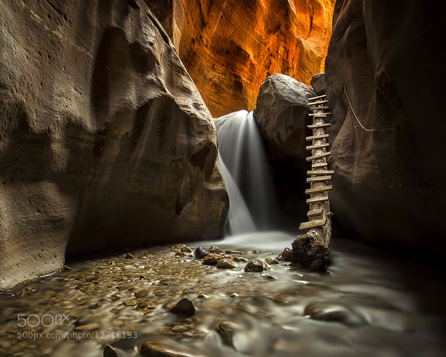 Photograph There Is No Easy Way Out by Danilo Faria on 500px