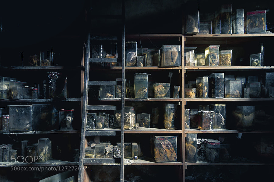 Photograph Specimen Shelves by James Charlick on 500px