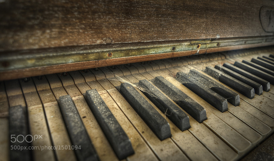 Photograph The Day The Music Died by Niki Feijen on 500px