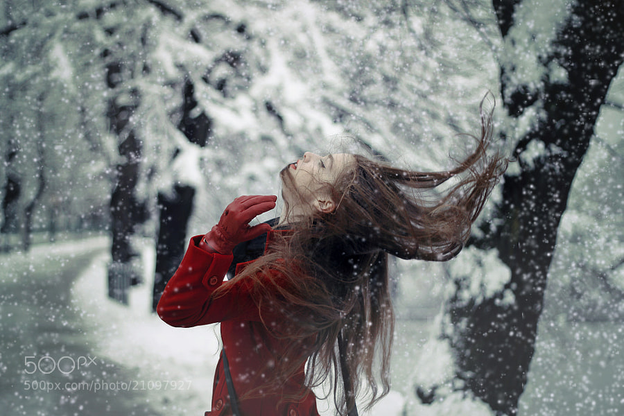 Photograph Winter winds by Maja Top?agi? on 500px