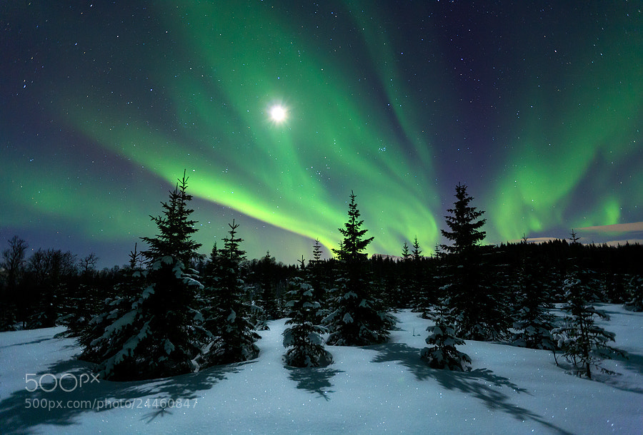 Photograph Winter Night by Arild Heitmann on 500px