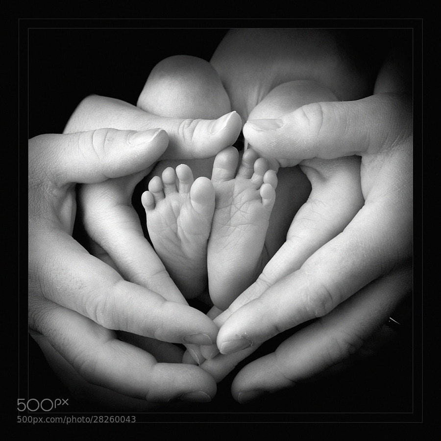 Photograph Heart of the Family by Monroe Payne on 500px