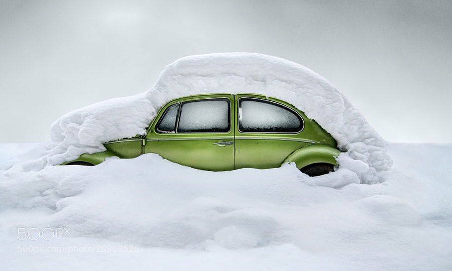 Winter photography - Photograph The green spot by Gabi Matei on 500px