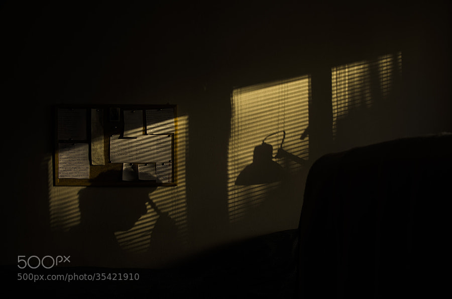 Photograph Working on Sunset by Mert Çağrı PİRİ on 500px