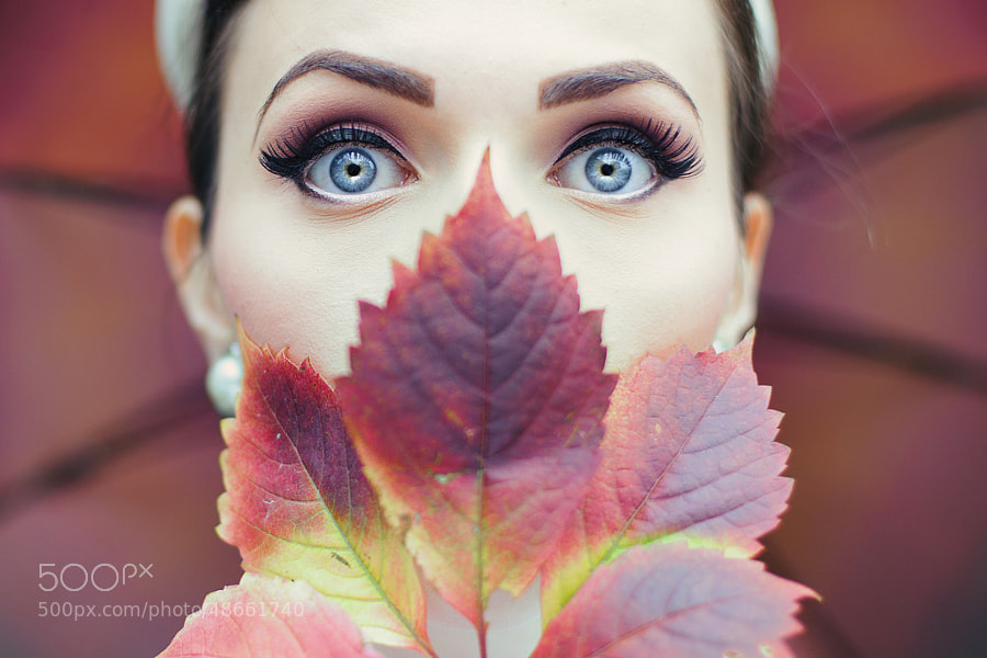 Photograph Colors of autumn by Maja Top?agi? on 500px